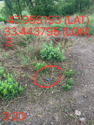 5289983740015144707.jpg