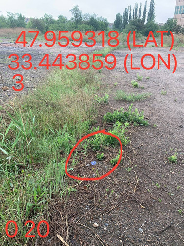 5287264295572340440.jpg