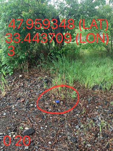 5289983740015144710.jpg