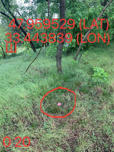 5289983740015144711.jpg