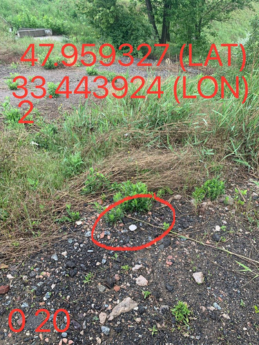 5289983740015144706.jpg