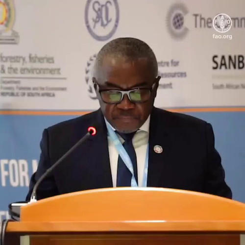 8mtMSyFj7yN H48M.jpg