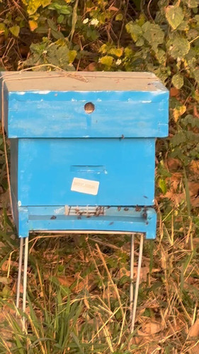 qMv4RWBw nhCxx60.jpg