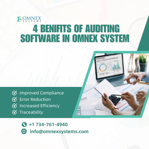 _4 Benifits of Auditing Software in omnex system.jpg