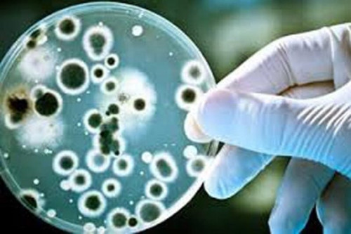 NR PvP2bHljIPFi3mKkQYbIL6pcJt0atYJxcm6fDn5QqOEiRH17vd8S07NgSiRUDjwuFjO72 mrCZR1 nKodSRGrzOrmgTitnGmq.jpg