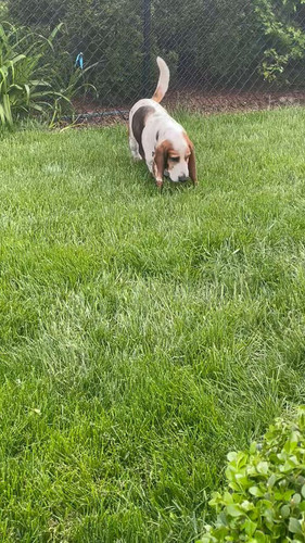 xMvMW7a YEYu4T68.jpg