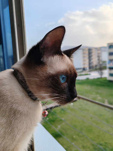 495571303 3853283764982904 7183170474523102253 n.jpg