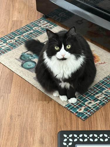 500390355 10232388441828133 4656797149836912595 n.jpg