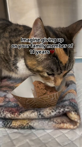 sO 9qlDXyVZJm5Ym.jpg