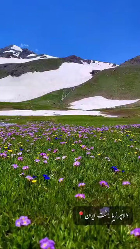 qpoKub258kw6U 2N.jpg