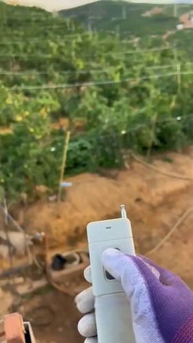 tVv 55DAgRxbDLzE.jpg