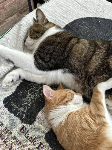 499184759 122110038026859660 2422263616193388971 n.jpg