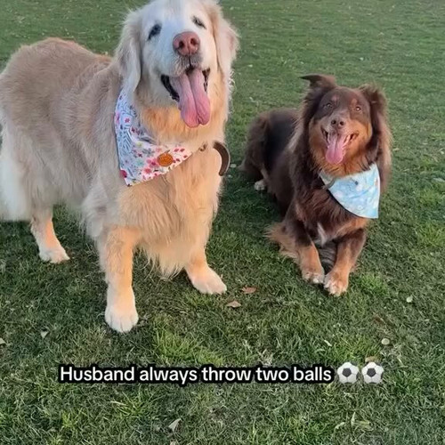 aW2yf 8pVR9 DeBT.jpg