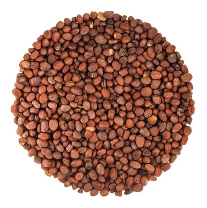 jignisha seeds red mooli vegetab.jpg