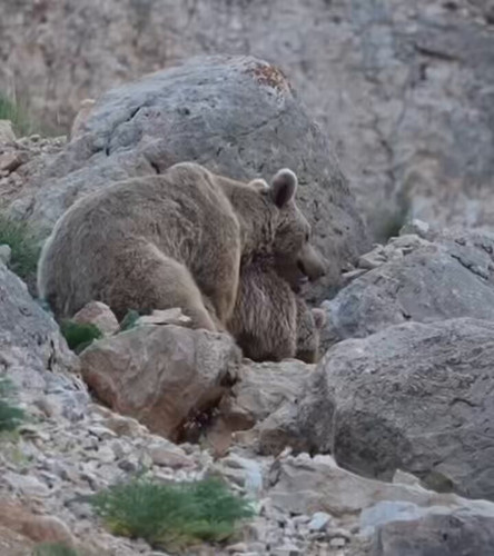 EP7sz17 SdCpT8Au.jpg