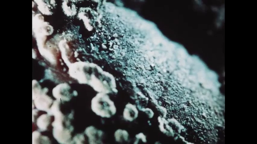 vlcsnap 2025 05 20 17h14m43s292.png