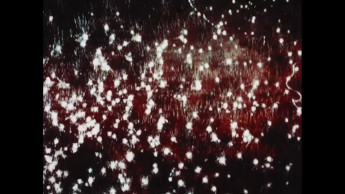 vlcsnap 2025 05 20 17h14m28s657.png