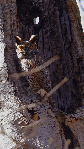 A iaWKkPL 70p4Z2.jpg