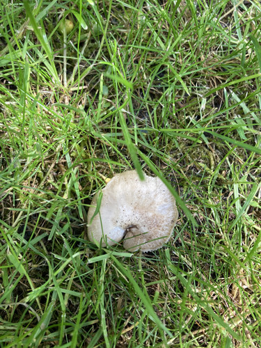 1747744501859.jpg