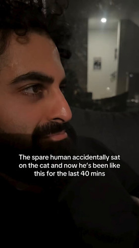 o5AiLvELazLIAeBr.jpg