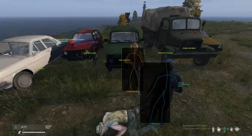 dayzdr1.webp