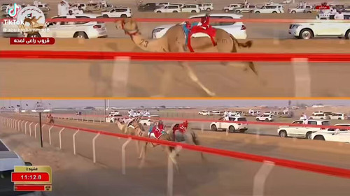 1pkvV7djmbZ WVSA.jpg