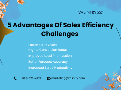5 Advantages Of Sales Efficiency Challenges.png
