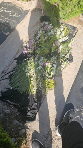 GraK7J7bAAIw P .jpg