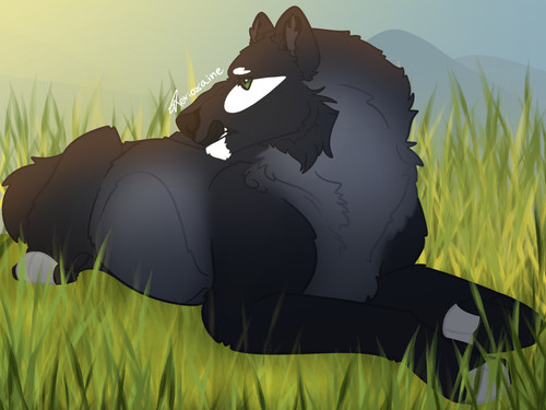 background .jpg