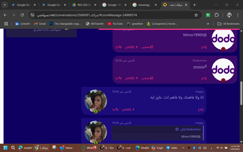 Screenshot 2025 05 20 233125.png