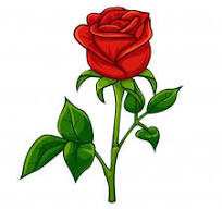rosa.jpg