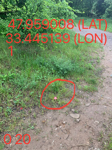 5287264295572340418.jpg