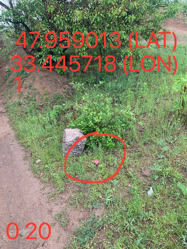 5289983740015144662.jpg