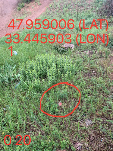 5289983740015144654.jpg