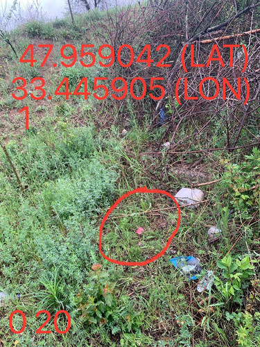 5289983740015144655.jpg