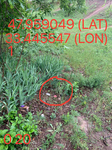 5289983740015144666.jpg