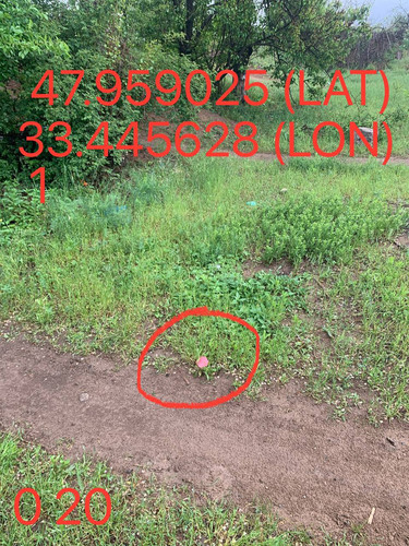 5289983740015144664.jpg