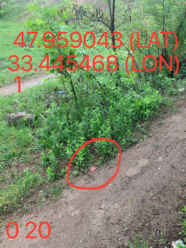 5289983740015144671.jpg