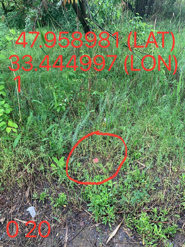 5289983740015144684.jpg