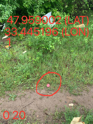 5289983740015144676.jpg