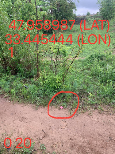 5289983740015144672.jpg