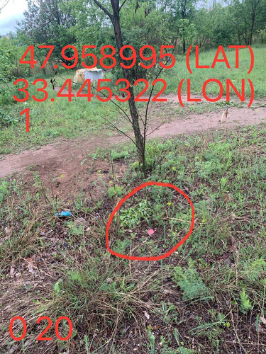 5289983740015144674.jpg