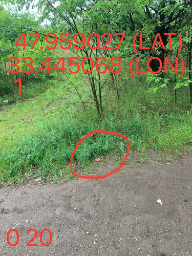 5289983740015144678.jpg
