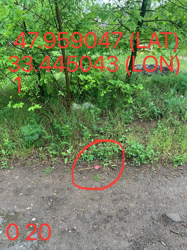 5289983740015144680.jpg