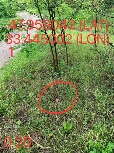5289983740015144682.jpg