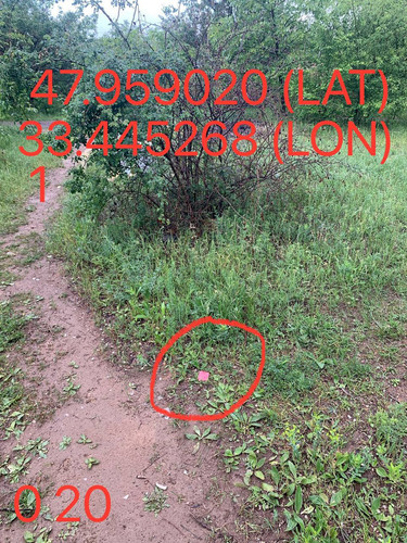 5289983740015144675.jpg