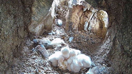 I1SF yBDtBW rR24.jpg