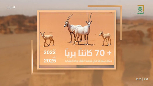 gqV rDWulboAsG5J.jpg