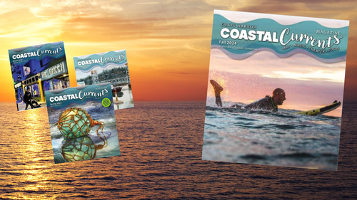 Untitled design (33).png