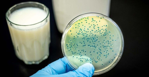 qHSVCIpmby2sJ1FuAGYDflh1i5exfdeRnJk avhyCH4kQQStBxN2ZEsc507JAIv8Wybv0uS1hokjLRVItKySk2ygCrALvOAg5f8G.jpg